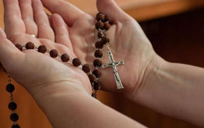 Nuevo apartado actualidad